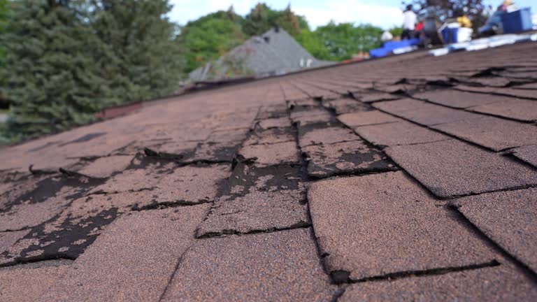 Fast & Reliable Emergency Roof Repairs in Circleville, OH